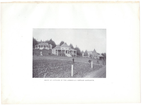 GROUP OF COTTAGES OF THE ADIRONDACK COTTAGE SANITARIUM 